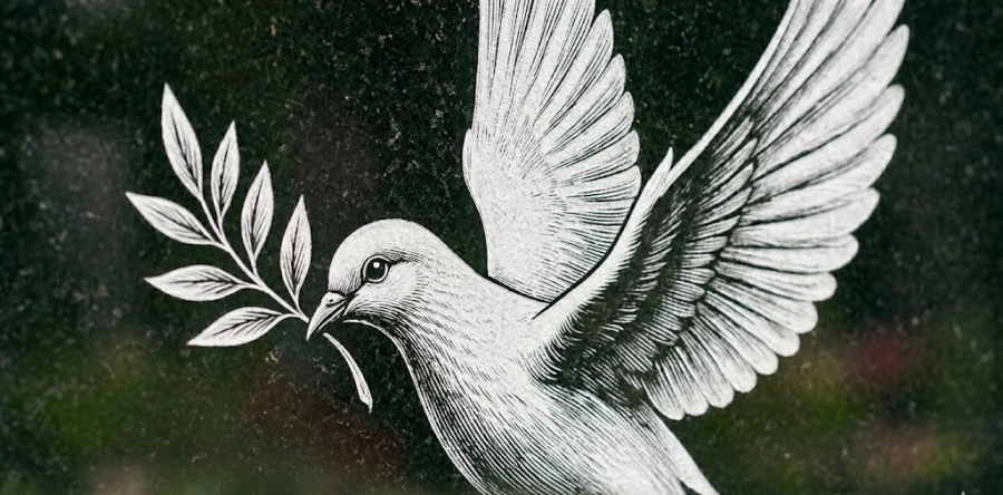 golub-s-olivkovoy-vetvyu-gravirovka